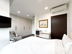 Symphony Suites (D27), Condominium #544976291